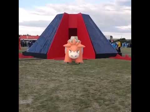 폭타 ( Camerupt ) バクーダ ( 噴火駝 )