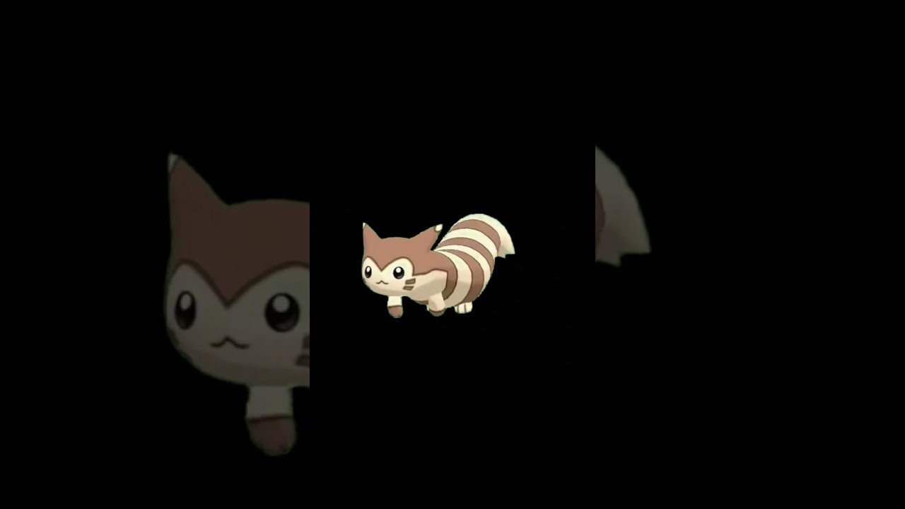 furret #shorts