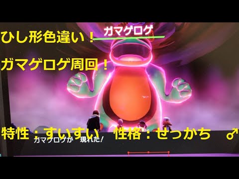 【ポケモン剣盾】ひし形色違い！ガマゲロゲ周回！