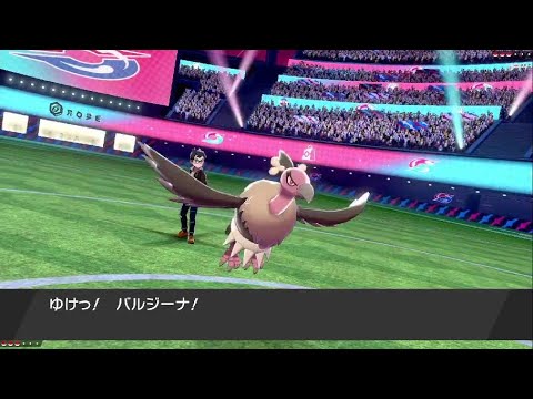 バルジーナ　こいつめっちゃ固いぞ！