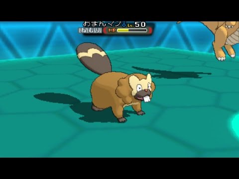 【ポケモンＯＲＡＳ】ガバガバマルチpart4【ビーダル】