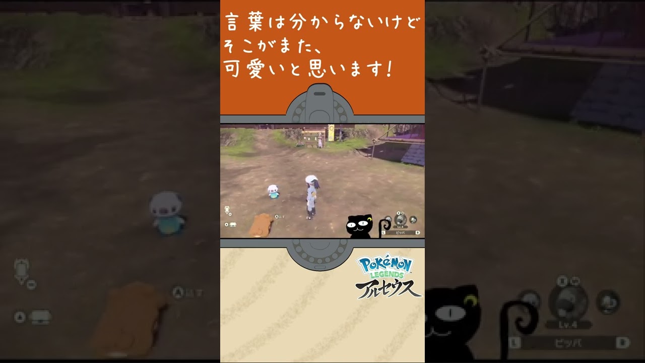 ミジュマルとビッパの仕草、可愛すぎない？【ポケモンレジェンズアルセウス】#shorts