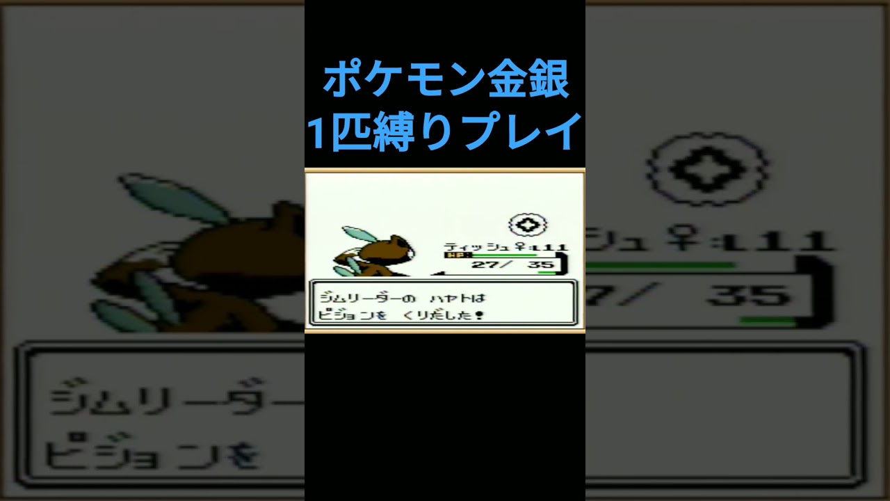 【ポケモン金銀】ポケモン金銀1匹縛りプレイ!!ニューラver【縛りプレイ】#ポケモン金銀 #縛りプレイ #ニューラ #ゲーム実況