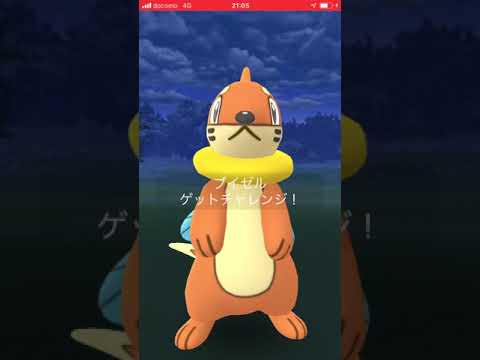 癒しを求めて、ブイゼルレイドで遊ぶ ポケモンGO