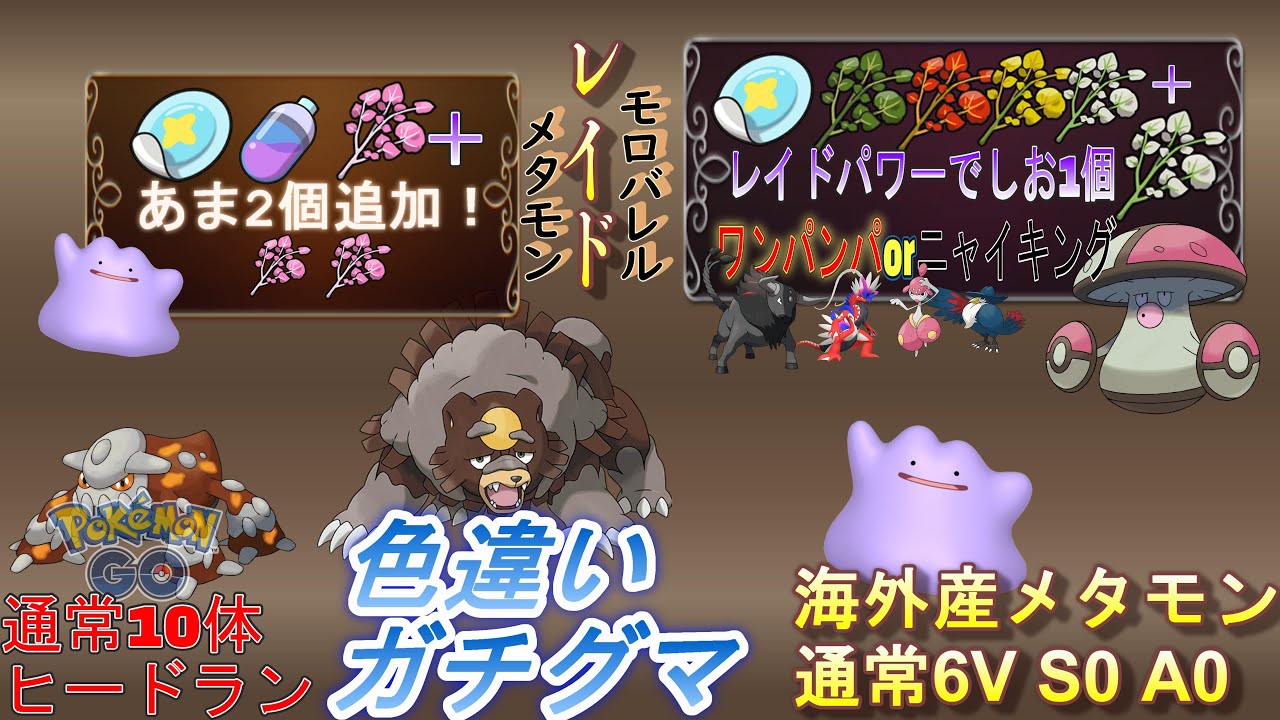 「テスト配信」　数体限定 色違いガチグマ   海外産 6V S0 A0メタモン配布「Pokémon」「ポケモンSV」 8月16日　配布ライブ