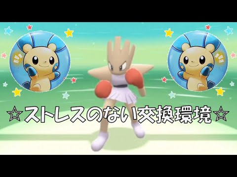 【ミラクル交換研究所】マイナン布教活動＆良個体ポケトレード。まじ最高。【ポケモンBDSP】