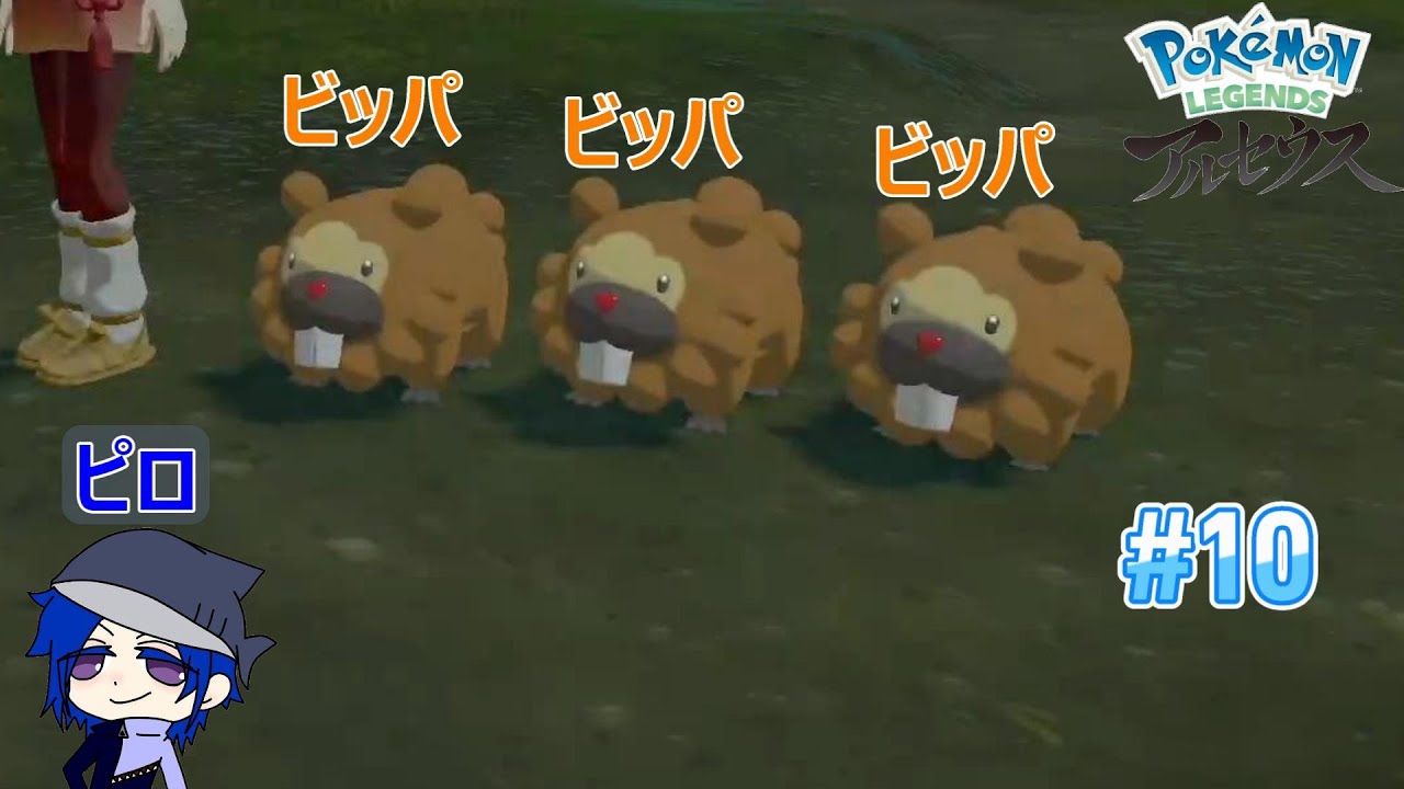 【Pokémon LEGENDS アルセウス】#10 続！ビッパ、ビッパ、ビッパ。