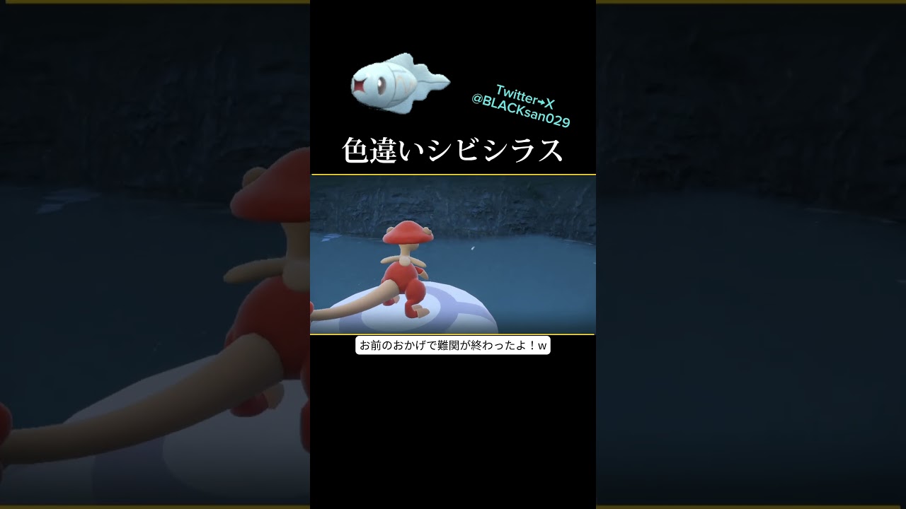 【ポケモンSV】難関の色違いをゲット出来た！ ポケモンsv #ポケットモンスター #色違い #色違い厳選 #シビシラス #難しい #shorts