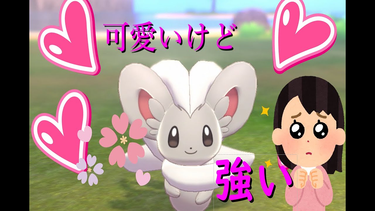〔ポケモン剣盾〕とても可愛くてとても強いもふもふ、チラチーノ。