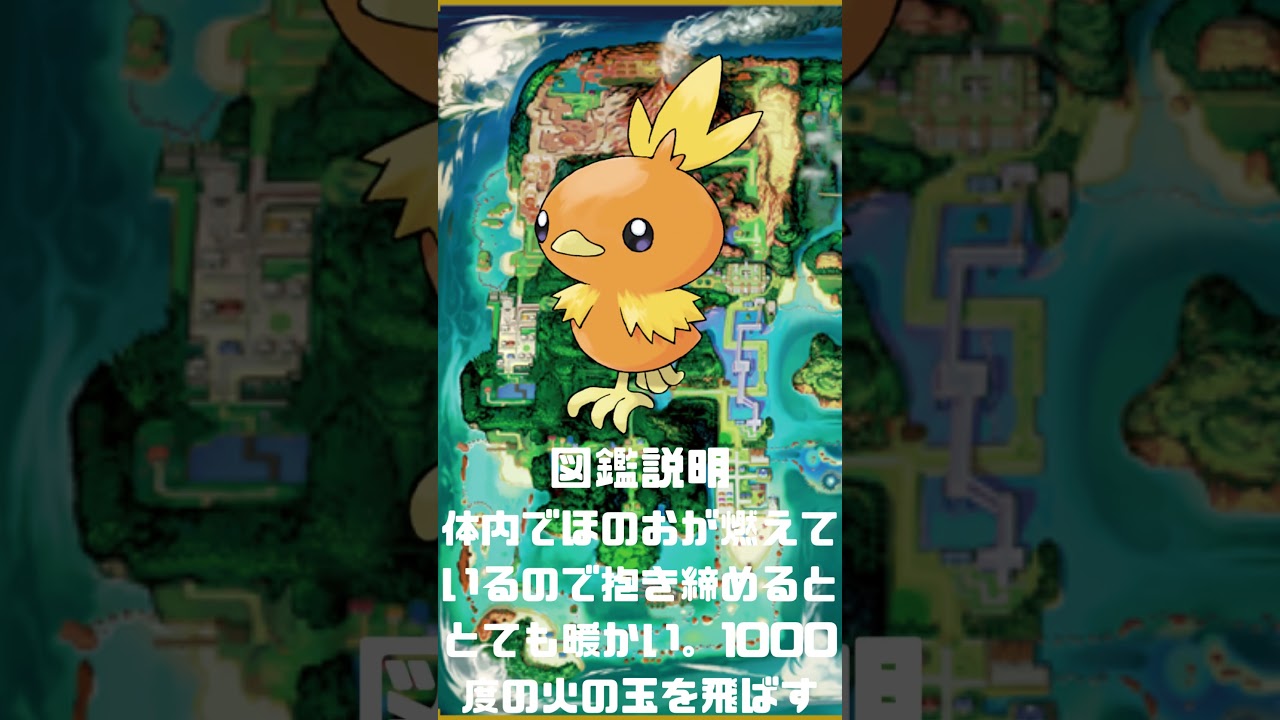 Ｎｏ．0255 アチャモ【ポケモン図鑑】 #shorts   #ポケモン　#pokemon