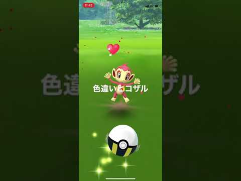 ポケモンGO 色違いヒコザル出現！GO fest2022