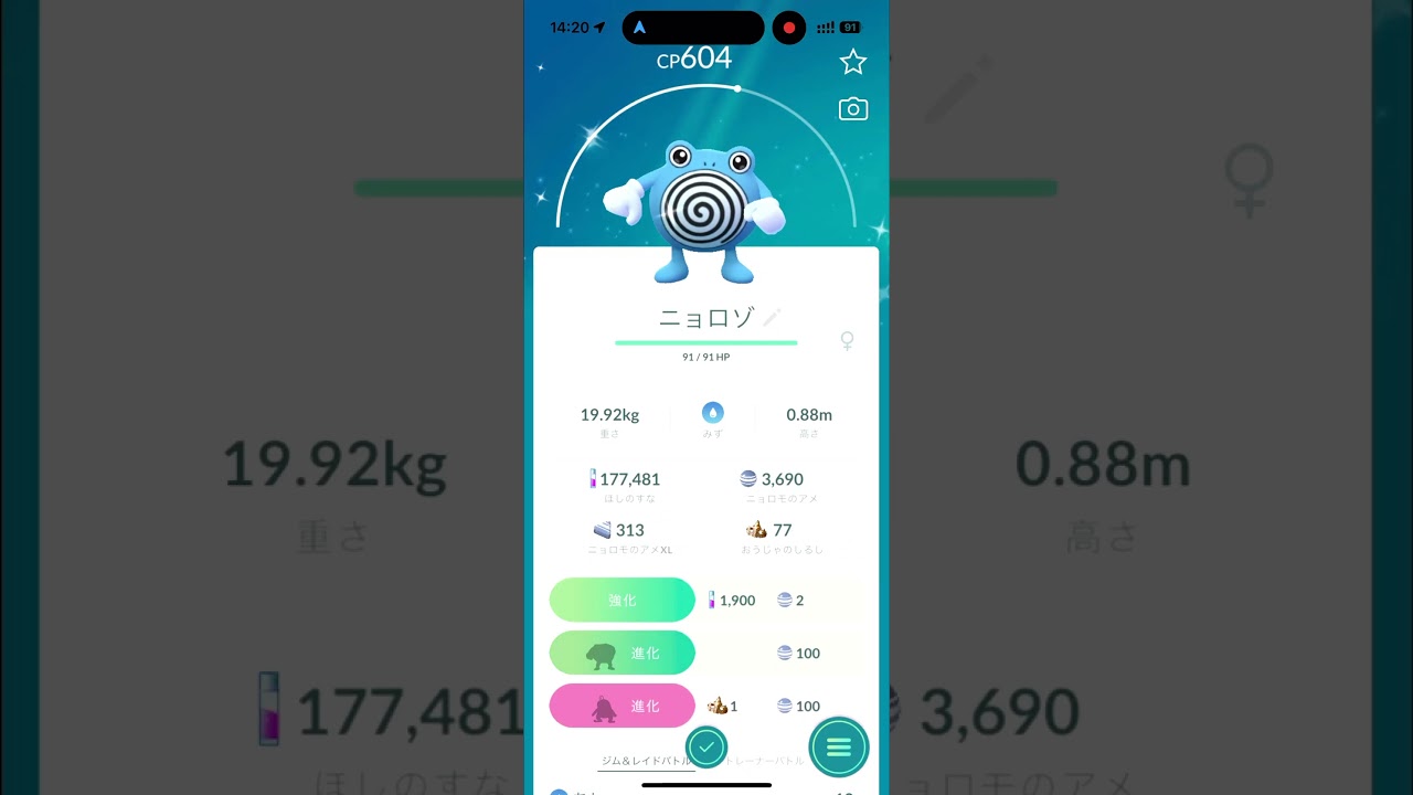 【ポケモンGO】色違いニョロモをニョロボンに進化！/SHINY Poliwag evolved  Poliwrath！#shorts