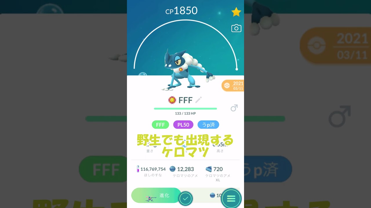 みずタイプ最強❓個体値100％PL50ゲッコウガ誕生✨ #pokemongo #ポケモンgo #shorts #ケロマツ