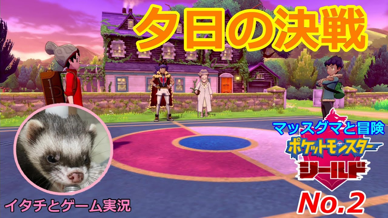 【ポケモン盾】マッスグマと冒険No.2【オシャレ小僧とライバルとの激闘】