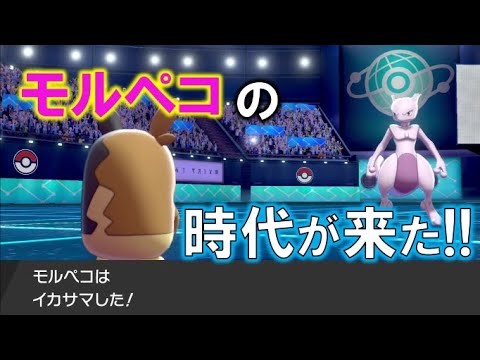 【救世主】ダイマックス無し禁伝環境でモルペコが躍動している！【ポケモン剣盾】【シールド】ハーマンの実況