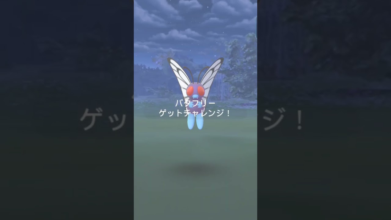 【Pokémon GO】Raid battle/Butterfree/ポケモンGO/レイドバトル/バタフリー