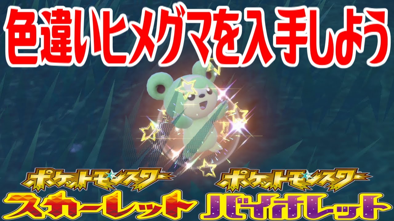 【ポケモンSV】色違いヒメグマを入手しよう【ポケットモンスター スカーレット・バイオレット】Pocket Monsters