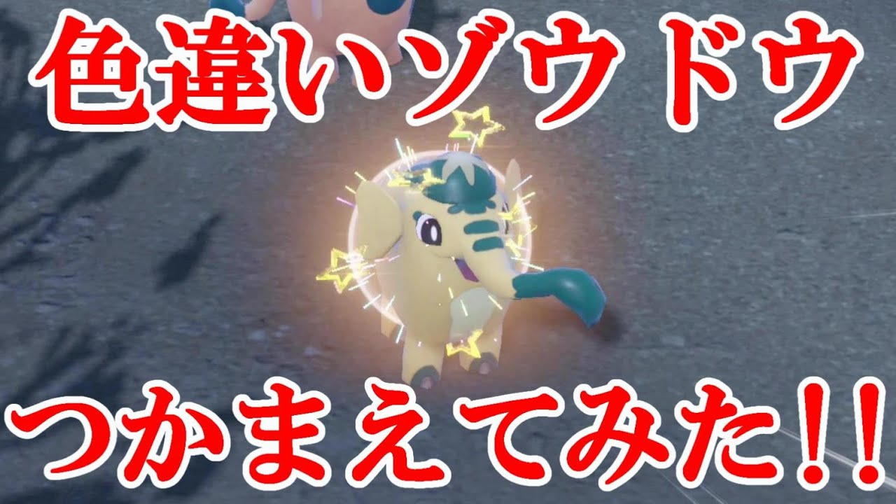 【ポケモンSV】色違いゾウドウつかまえてみた！！