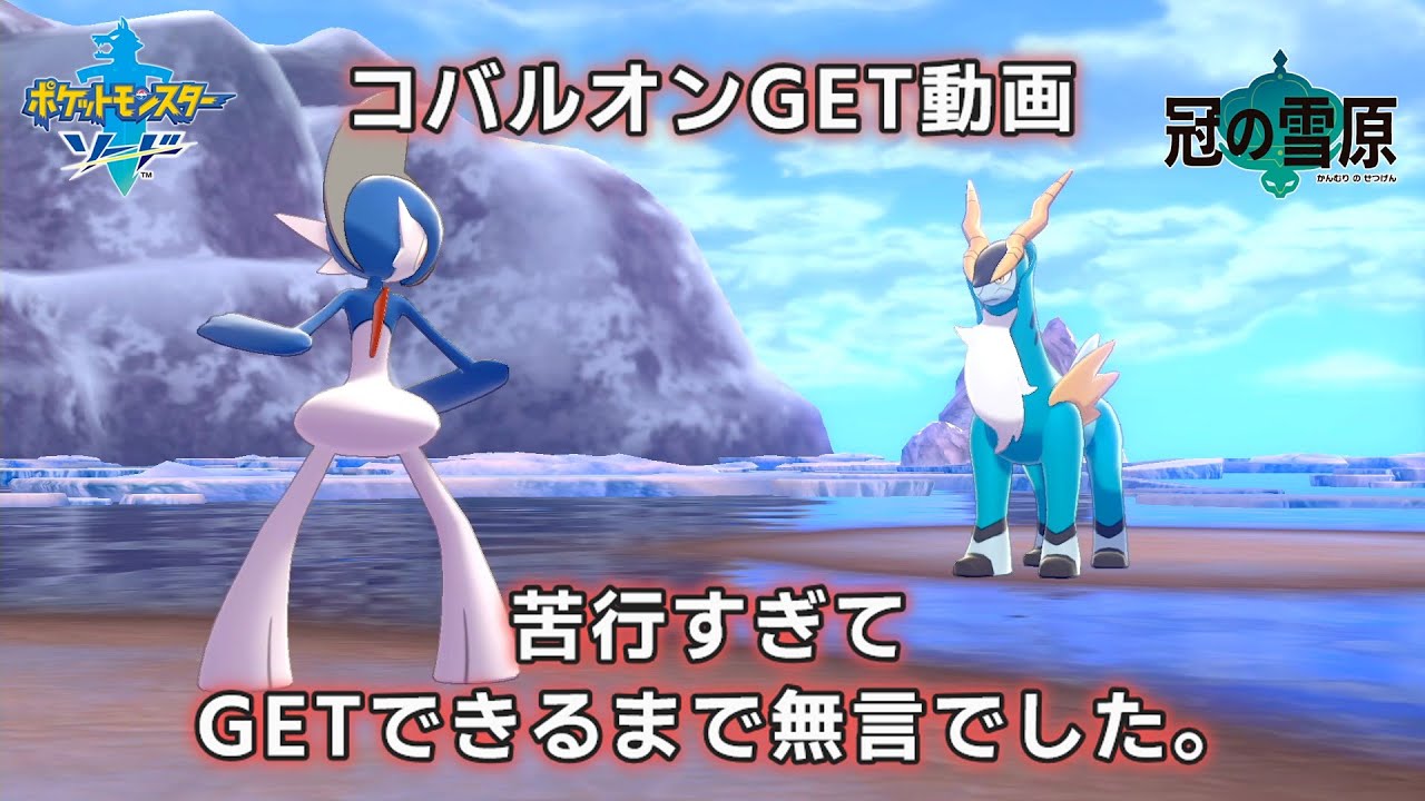 【ポケモン剣盾】忍耐力必須のコバルオン捕獲バトル動画