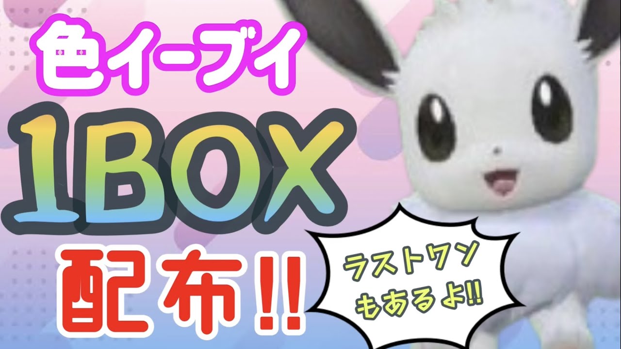 「色違い配布！ポケモンSV」色違いイーブイ1BOX配布！ラストワンは証付き！！