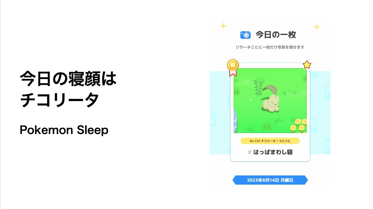ポケモンスリープ 今日の寝顔はチコリータ