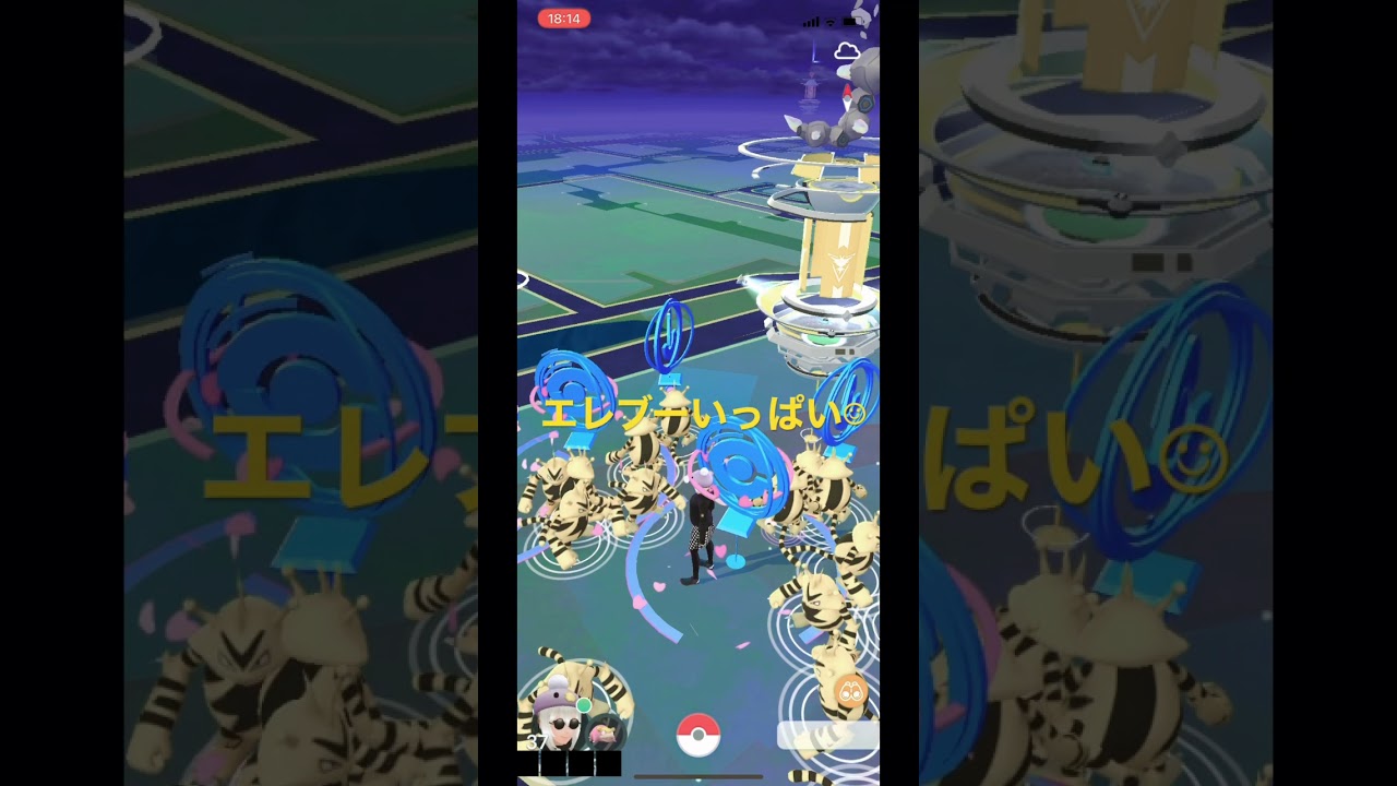 ポケモンGO エレブー祭り( ･ᴗ･ )