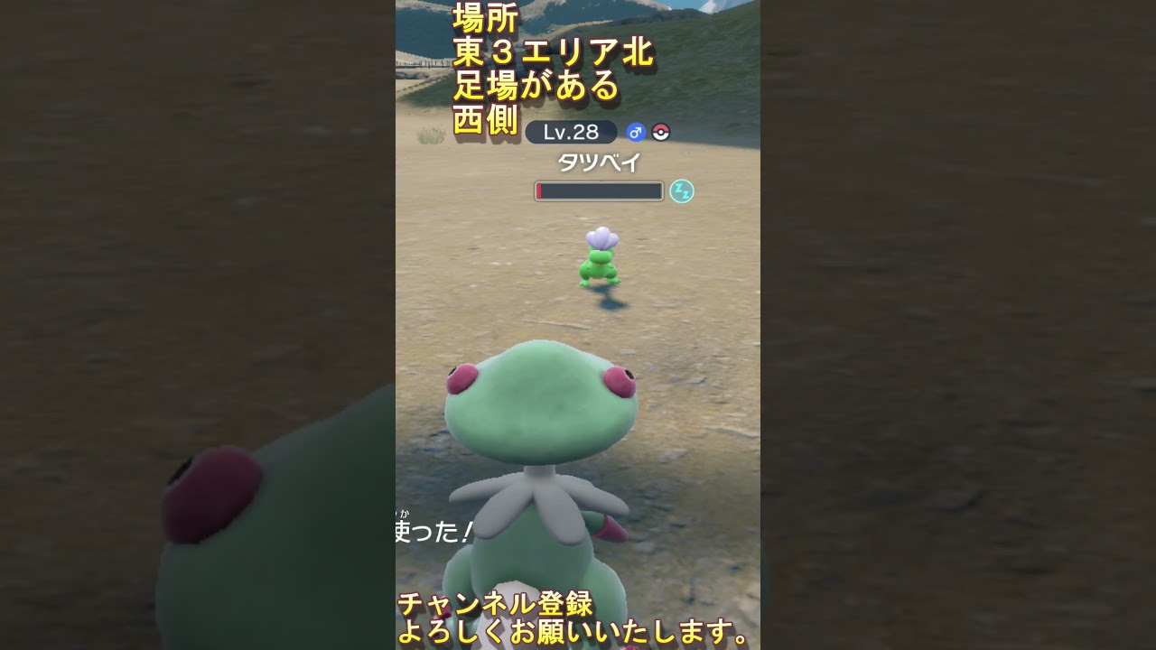 【ポケモンSV】今日の色違い厳選　最終進化６００族ボーマンダのタツベイ