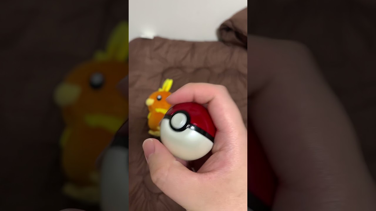 アチャモをポケモンスナップしてみた