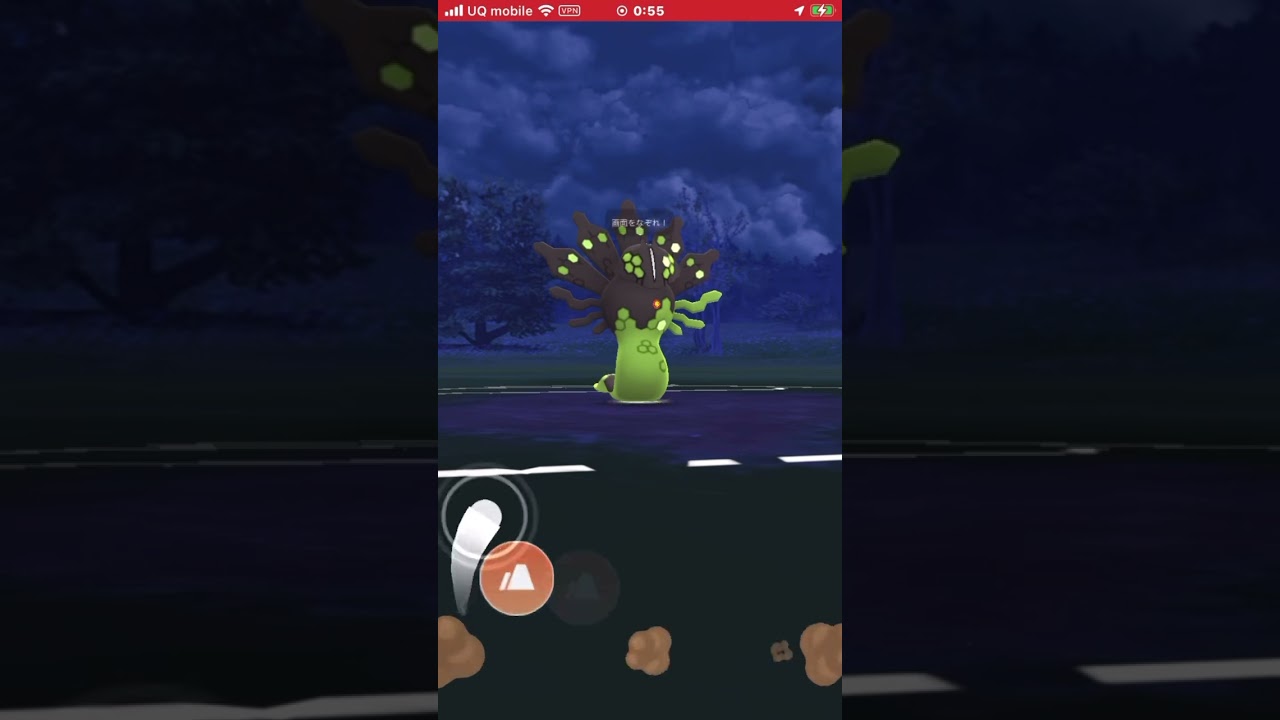 ジガルデ50%フォルムvsブランシェ