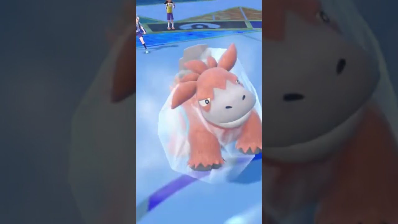 フリージオのぜったいれいどが一回目でバクーダにあたる🌀 #ポケモンsv #ポケモンスカーレットバイオレット