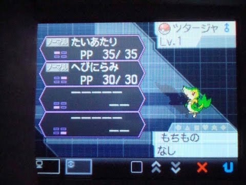 ポケモンブラック2･ホワイト2 6Vチラーミィを使って4Vツタージャを厳選