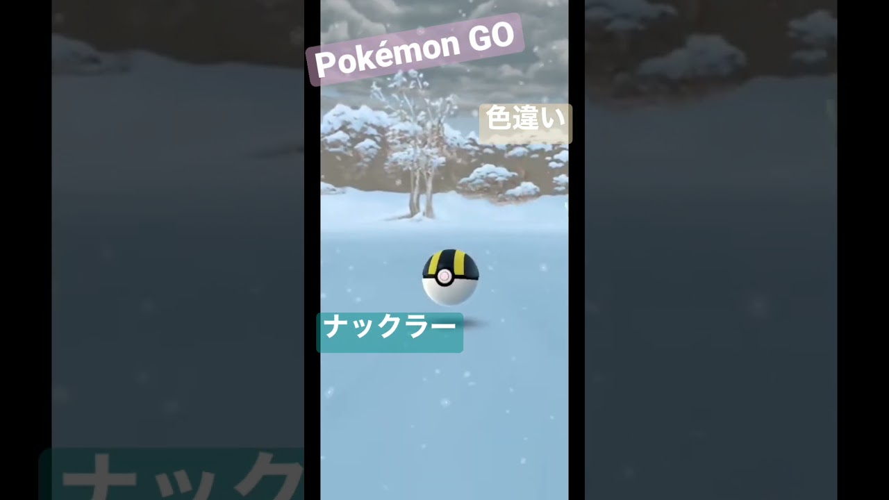 【Pokémon GO】色違い　ナックラー