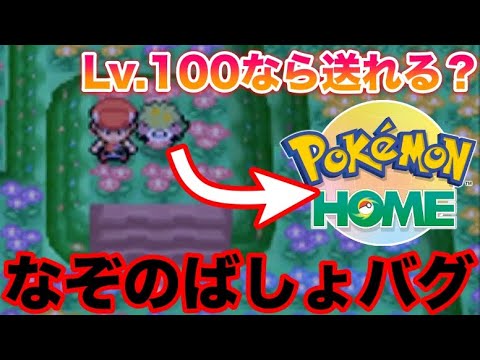 【バグ検証】なぞのばしょ産シェイミはLv.100にすればポケモンホームに送れるのか？【ポケモンダイパ】
