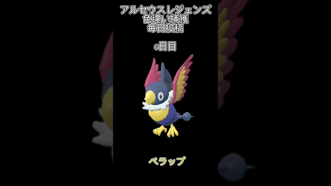 六日目はペラップ！明日はなんでしょう⁉