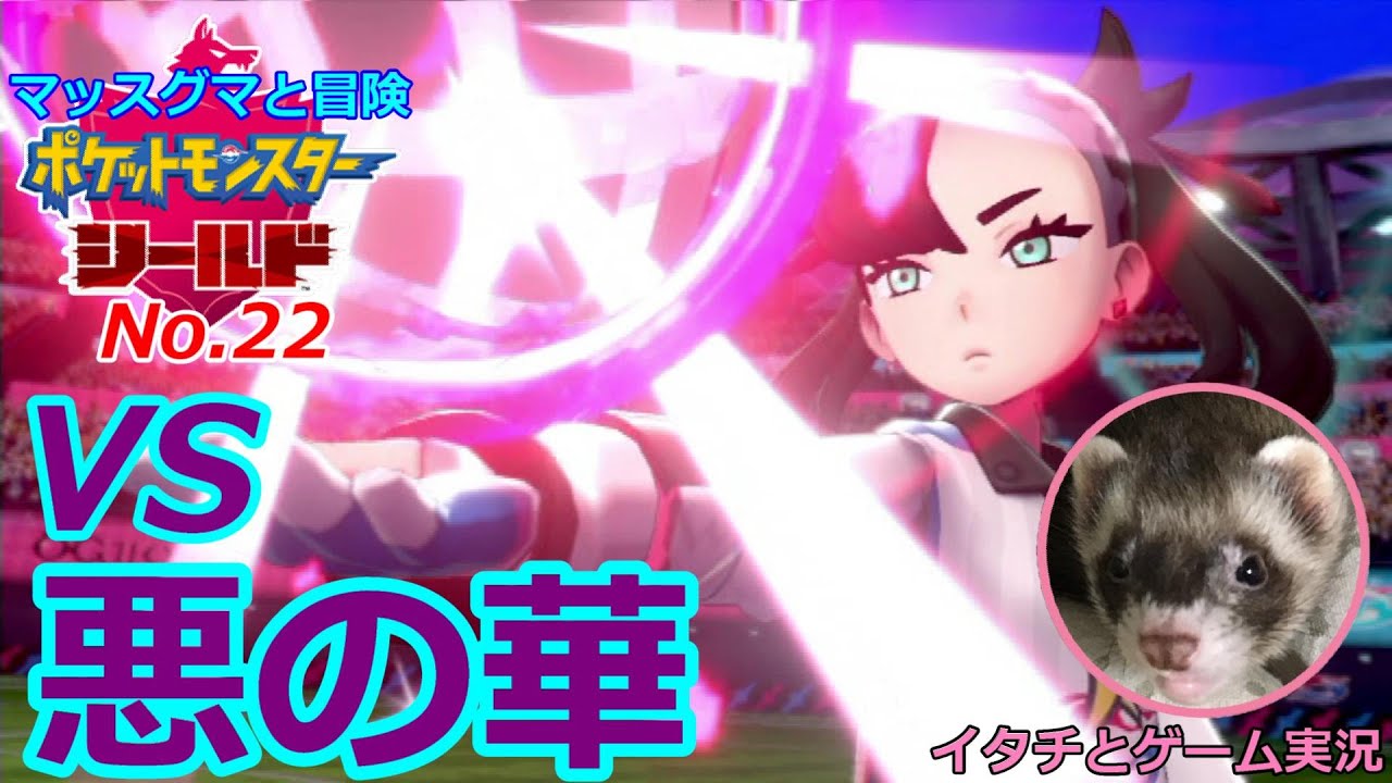 【ポケモン盾】マッスグマと冒険No.22【蝶のように舞い蜂のように刺す】