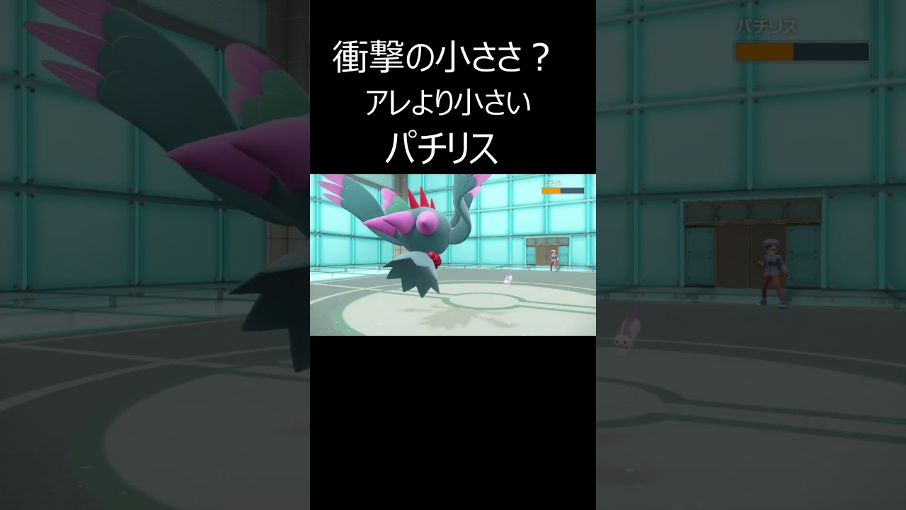 衝撃の小ささ？アレより小さいパチリス　#shorts 　#ポケモン