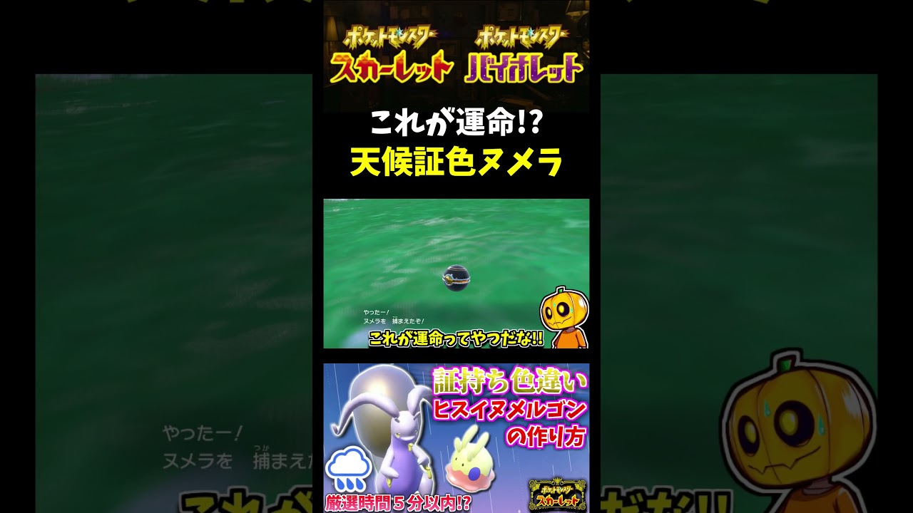 【ポケモンSV】天候証持ち色違い!?「ヌメラ」の色証厳選してたら開始5分以内で出てくれたwww【スカーレット】【ポケモン】【切り抜き】【色違い厳選】【色違いポケモン】#shorts