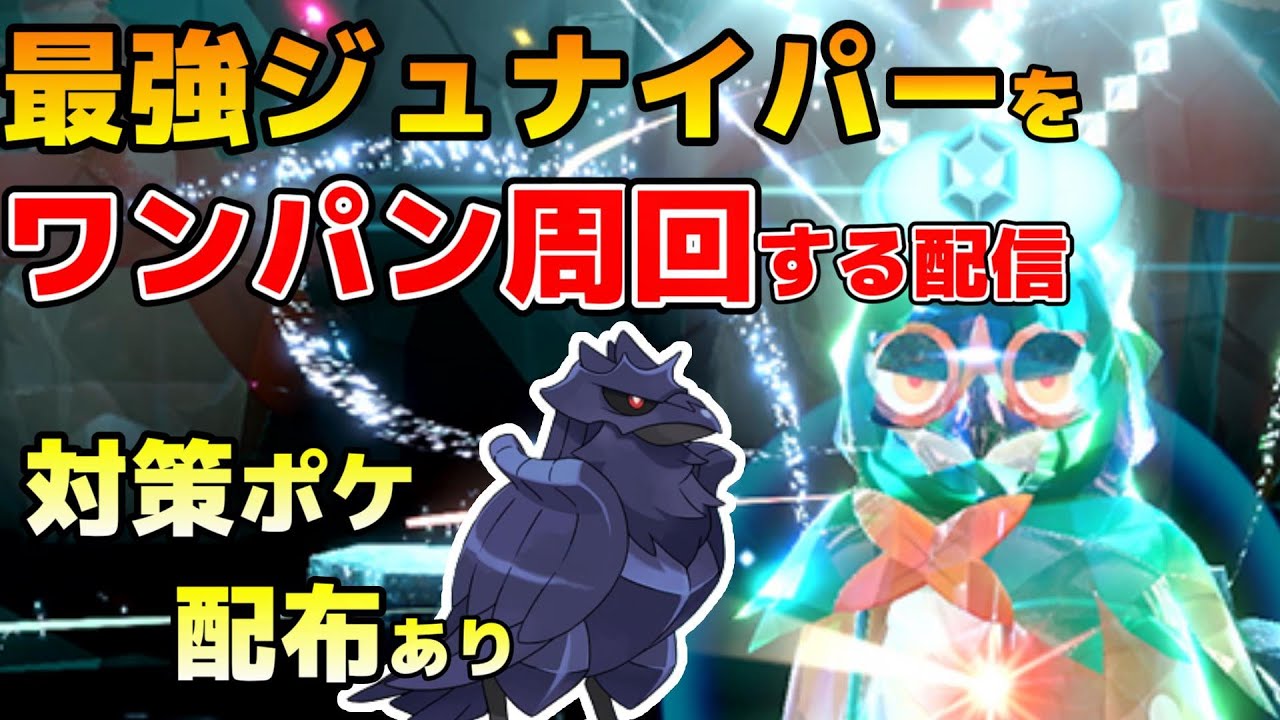 対策ポケモン配布あり　最強ジュナイパーをワンパン周回する配信　【ポケモンSV】
