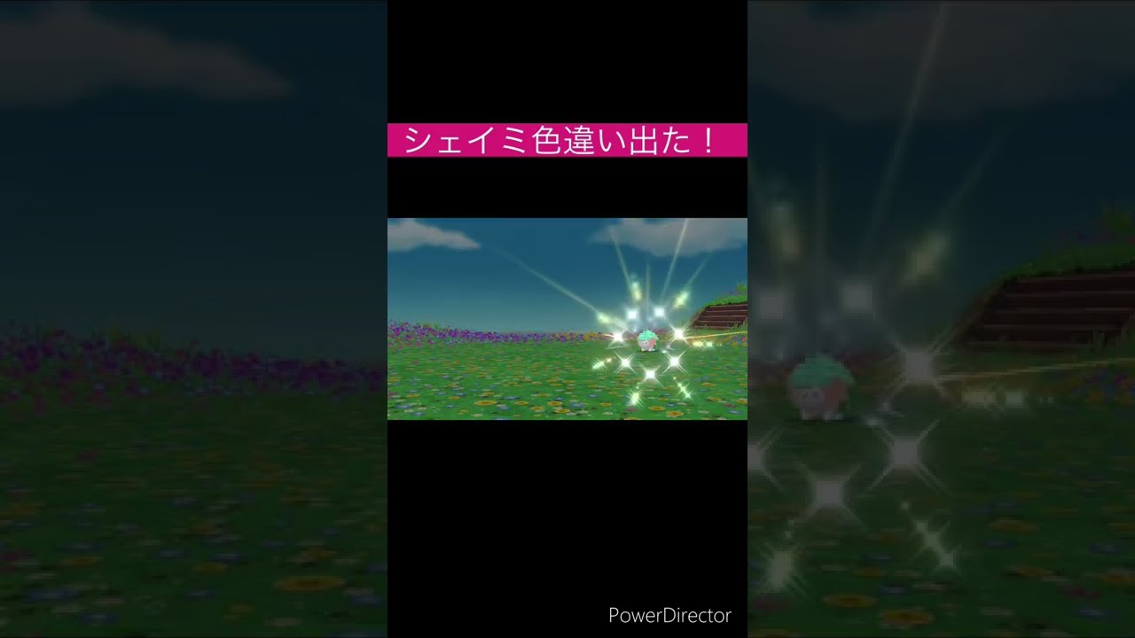【ポケモンBDSP】シェイミ色違い厳選してたら出ました！！