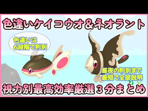 視力別 色違いケイコウオ＆ネオラント最高効率 最速３分動画 判別は6段回で#ポケモンsv #最高効率 #色違い #ケイコウオ #ネオラント #大量発生なし