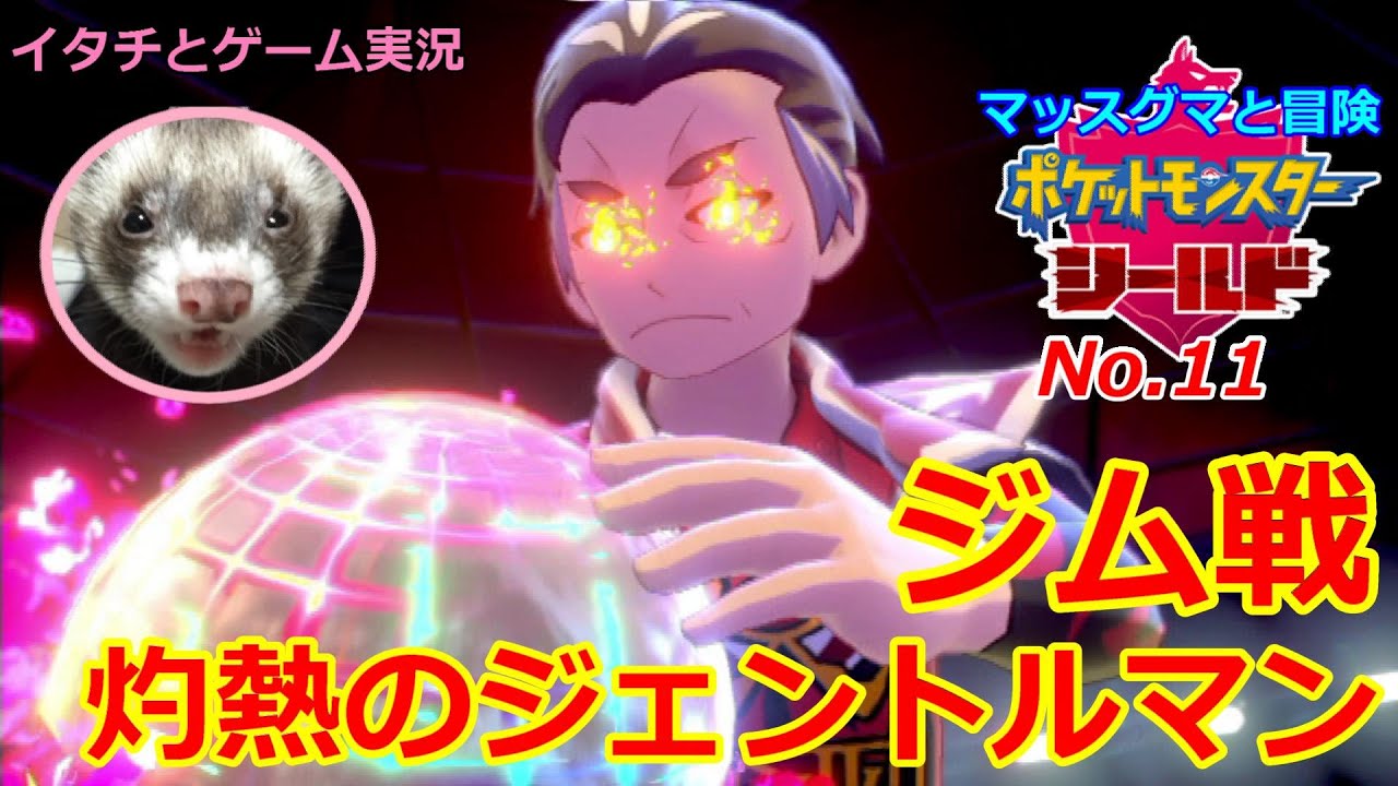 【ポケモン盾】マッスグマと冒険No.11【不屈の男！灼熱のジムリーダー】