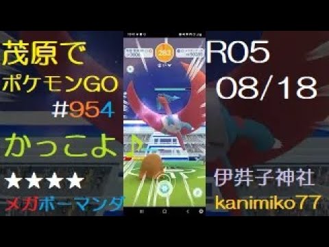 茂原でポケモンGO #954