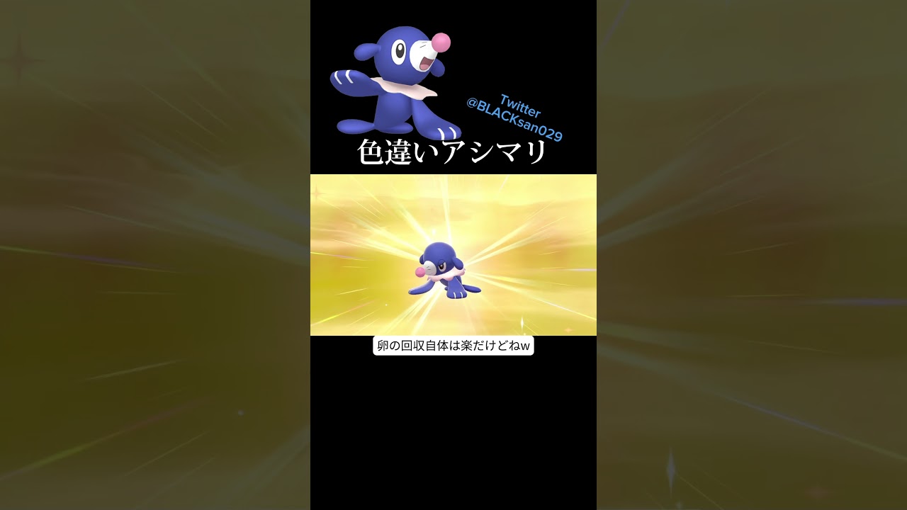 【ポケモン剣盾】可愛いアシマリの色違いが欲しい！ #ポケモン剣盾 #ポケットモンスター #色違い #色違い厳選 #アシマリ #御三家 #shorts