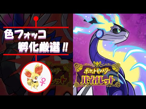 【ポケモンSV】色違いフォッコ（♀）孵化厳選！（コンペボールポケモンあげれます！）