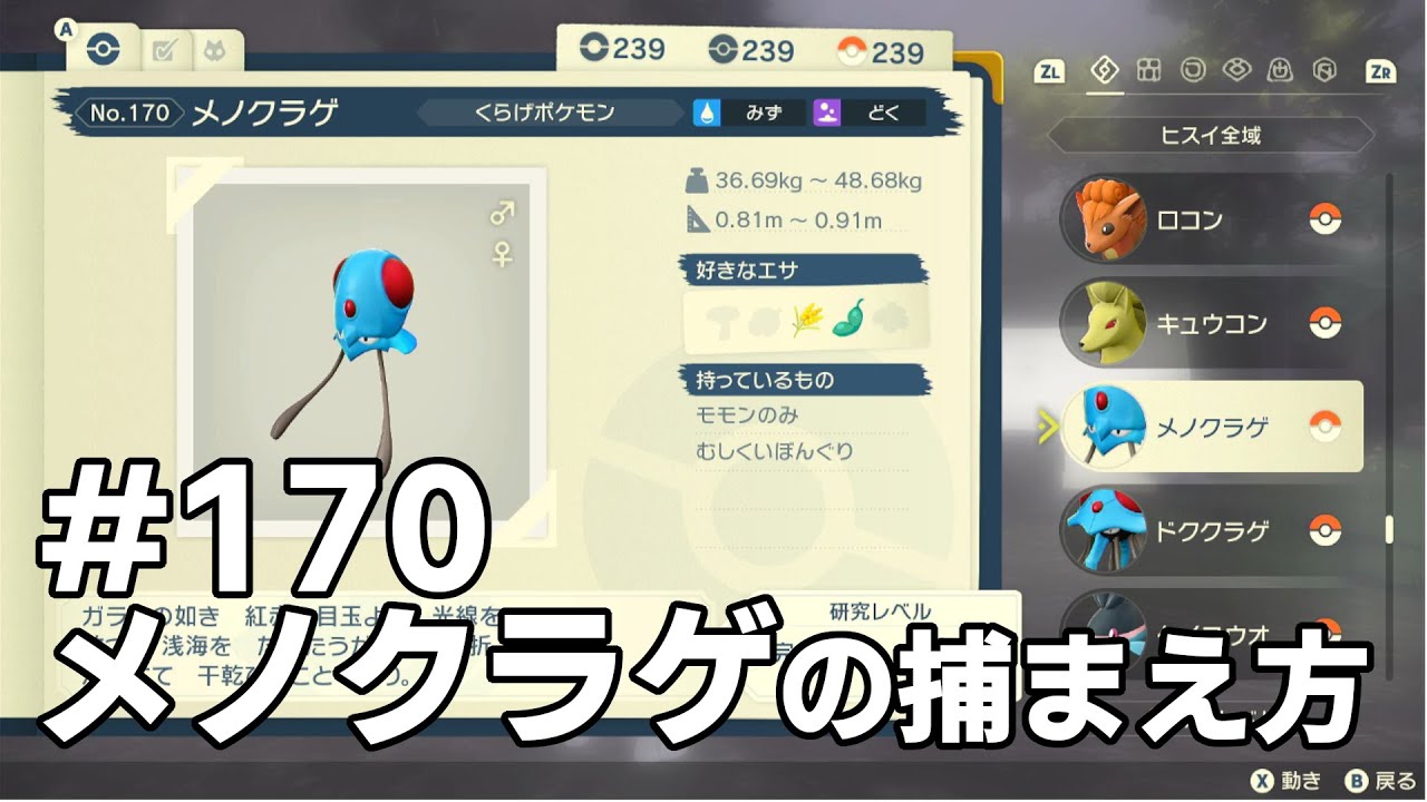 メノクラゲを探している方に見てほしい動画