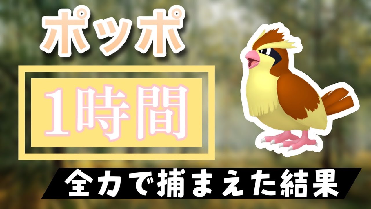 【ポケモンGO】田舎でポッポのスポットライトアワーをやった結果
