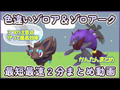 最速色違いゾロア＆ゾロアーク最高効率２分まとめ ３つの注意点を守るだけ #ポケモンsv #最高効率 #色違い #ゾロア #ゾロアーク ＃大量発生なし