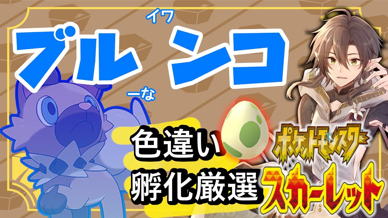 【新縛り！いわタイプ】朝から国際卵から色違いイワンコ孵化させる作業配信【ポケモンSV】