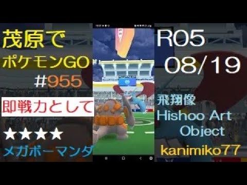 茂原でポケモンGO #955