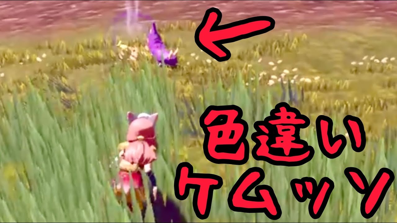 色違いケムッソ＆進化系【Pokemon LEJENDS アルセウス】